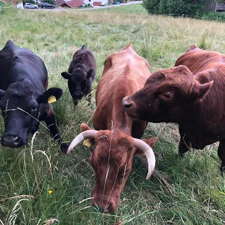 Panoramablick 1 -neu Modernisiert- *